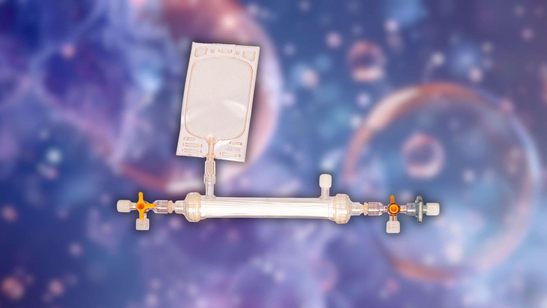 Exosomes and the Longevity Trend: Why the Future of Aesthetic Medicine Belongs to Autologous Therapies